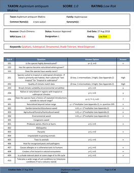TAXON:Asplenium Antiquum Makino SCORE:1.0 RATING:Low Risk
