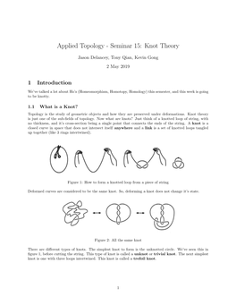 Applied Topology - Seminar 15: Knot Theory