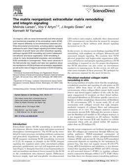 The Matrix Reorganized: Extracellular Matrix Remodeling and Integrin Signaling Melinda Larsen1, Vira V Artym1,2, J Angelo Green1 and Kenneth M Yamada1