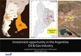 Investment Opportunity in the Argentine Oil & Gas Industry