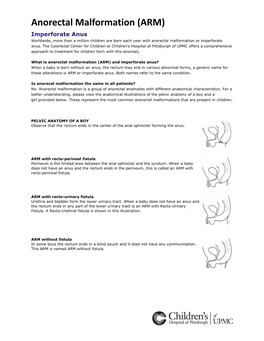 Anorectal Malformation (ARM) Imperforate Anus Worldwide, More Than a Million Children Are Born Each Year with Anorectal Malformation Or Imperforate Anus