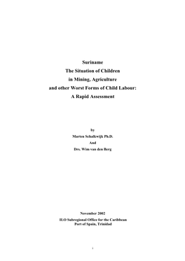Suriname the Situation of Children in Mining, Agriculture and Other Worst Forms of Child Labour: a Rapid Assessment