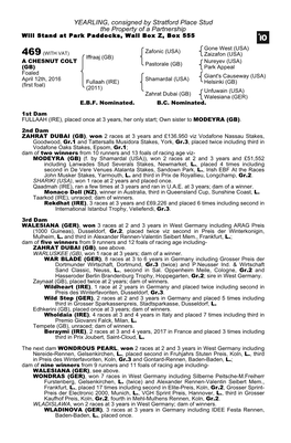 YEARLING, Consigned by Stratford Place Stud the Property of a Partnership Will Stand at Park Paddocks, Wall Box Z, Box 555