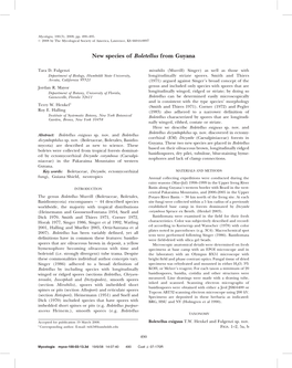 New Species of Boletellus from Guyana