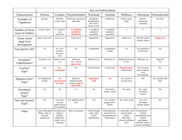 Key Invertebrate Phyla Characteristics Porifera Cnidaria Platyhelminthes