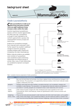 Mammalian Clades