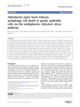Helicobacter Pylori Vaca Induces Autophagic Cell Death in Gastric