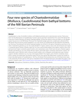 Mollusca, Caudofoveata) from Bathyal Bottoms of the NW Iberian Peninsula M
