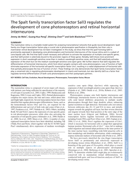 The Spalt Family Transcription Factor Sall3 Regulates the Development Of