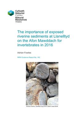 The Importance of Exposed Riverine Sediments at Llanelltyd on the Afon Mawddach for Invertebrates in 2016