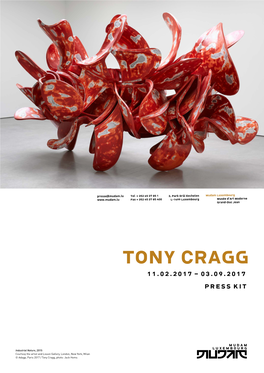 Tony Cragg 11.02.2017 – 03.09.2017 Press Kit