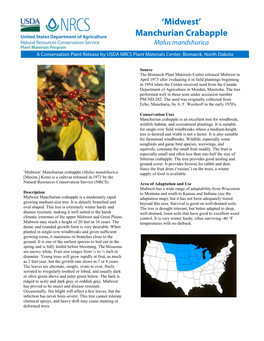 Manchurian Crabapple Malus Mandshurica a Conservation Plant Release by USDA NRCS Plant Materials Center, Bismarck, North Dakota