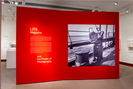 Life Magazine and the Power of Photography Is Organized by the Princeton University Art Museum and the Museum of Fine Arts, Boston