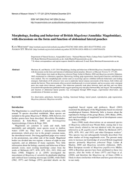 Morphology, Feeding and Behaviour of British Magelona (Annelida: Magelonidae), with Discussions on the Form and Function of Abdominal Lateral Pouches