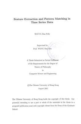 Feature Extraction and Pattern Matching in Time Series Data