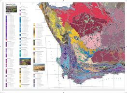 Vegetation Units