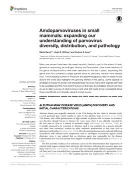 Amdoparvoviruses in Small Mammals: Expanding Our Understanding of Parvovirus Diversity, Distribution, and Pathology