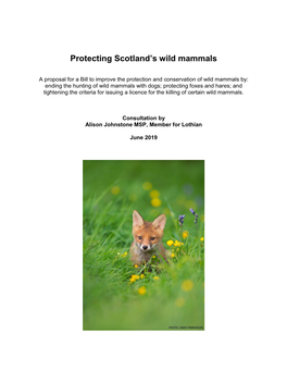 Protecting Scotland's Wild Mammals