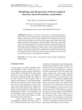 Morphology and Ultrastructure of Pavan's Gland of Aneuretus Simoni