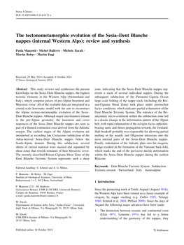 The Tectonometamorphic Evolution of the Sesia–Dent Blanche Nappes (Internal Western Alps): Review and Synthesis