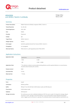 Anti-SESN1 / Sestrin 1 Antibody (ARG43004)