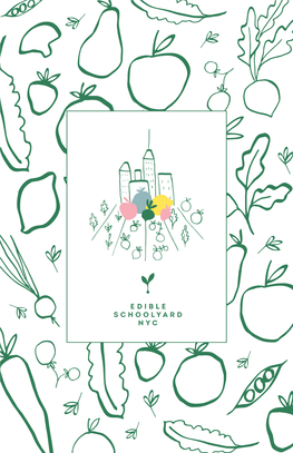 Edible Schoolyard NYC Journal / Graphic Design by Razi Hedström