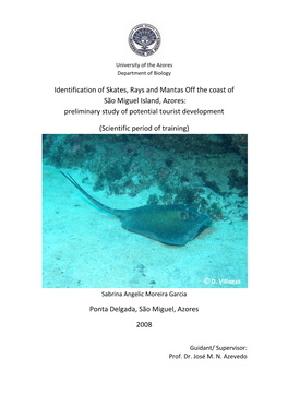 Identification of Skates, Rays and Mantas Off the Coast of São Miguel Island, Azores: Preliminary Study of Potential Tourist Development