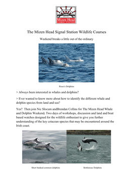 The Mizen Head Signal Station Wildlife Courses