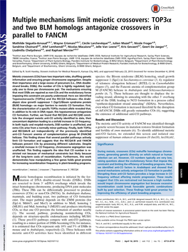 Multiple Mechanisms Limit Meiotic Crossovers: Top3α and Two BLM Homologs Antagonize Crossovers in Parallel to FANCM