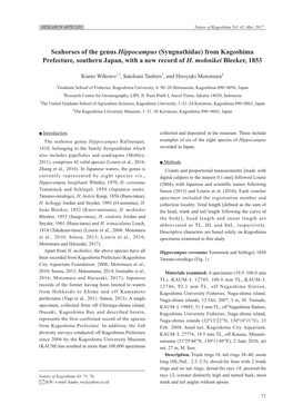 Seahorses of the Genus Hippocampus (Syngnathidae) from Kagoshima Prefecture, Southern Japan, with a New Record of H