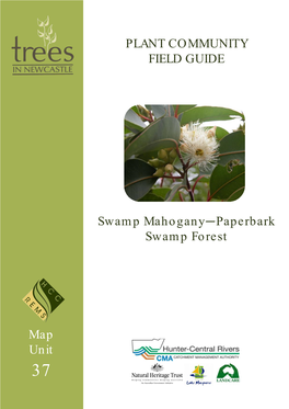 MU37 Swamp Mahogany Paperbark Forest