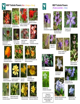 Red – Orange – Yellow) MGP Trailside Flowers (Purple (Lavender) – Blue)