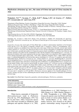 Phyllosticta Citriasiana Sp. Nov., the Cause of Citrus Tan Spot of Citrus Maxima in Asia