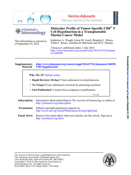 Molecular Profile of Tumor-Specific CD8+ T Cell Hypofunction in a Transplantable Murine Cancer Model