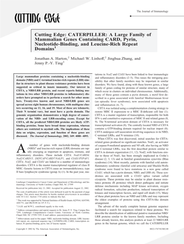 Domains Nucleotide-Binding, And