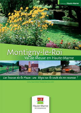 Montigny-Le-Roi Val De Meuse En Haute-Marne