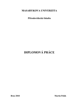 Diplomová Práce