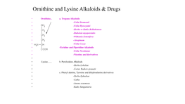 Vitali Morin Is a Specific Example of the Well Known Colour Reaction Between Acetone and Aromatic Nitro Compounds in the Presence of Sodium Hydroxide