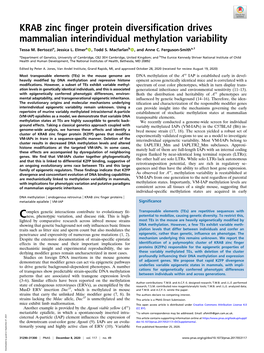 KRAB Zinc Finger Protein Diversification Drives Mammalian Interindividual Methylation Variability