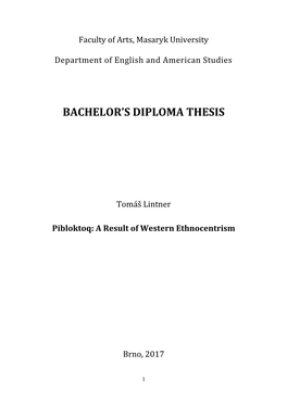 Bachelor's Diploma Thesis