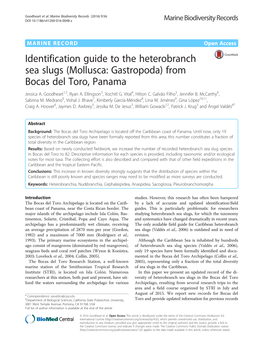Identification Guide to the Heterobranch Sea Slugs (Mollusca: Gastropoda) from Bocas Del Toro, Panama Jessica A