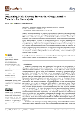 Organizing Multi-Enzyme Systems Into Programmable Materials for Biocatalysis