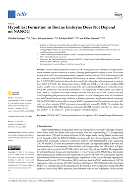 Hypoblast Formation in Bovine Embryos Does Not Depend on NANOG