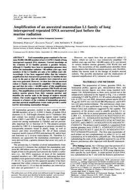 Amplification of an Ancestral Mammalian LI Family of Long