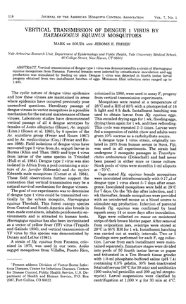 Vertical Transmission of Dengue 1 Virus By