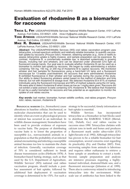 Evaluation of Rhodamine B As a Biomarker for Raccoons