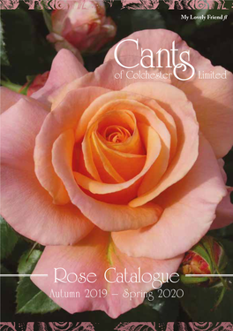 Rose Catalogue Autumn 2019 – Spring 2020 Leading Rose Specialist for Over 250 Years! (Est