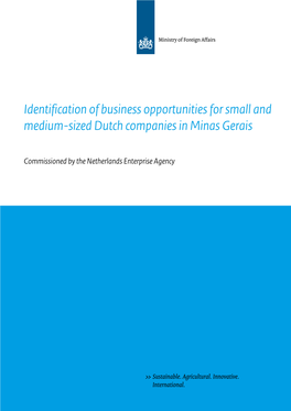 Identification of Business Opportunities for Small and Medium-Sized Dutch Companies in Minas Gerais