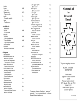 Mammals of the Research Ranch