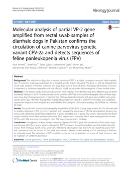 Molecular Analysis of Partial VP-2 Gene Amplified from Rectal Swab